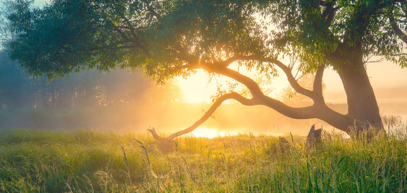You are tasked with producing results that reflect your own nature.